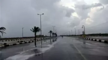 تحذير من الأرصاد بشأن شبورة مائية كثيفة تسيطر على طقس الإثنين 16 مارس